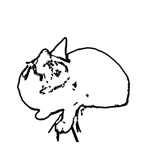 generated stencil from the cat photo