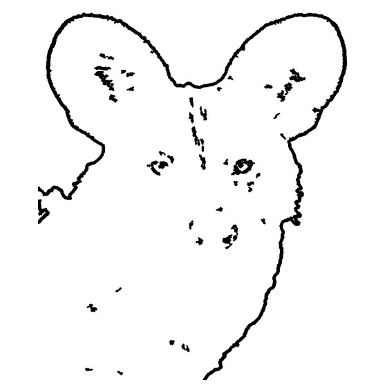 generated stencil from the dog photo
